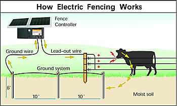 How Does an Electric Fence Work - Zareba